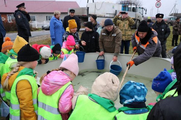 Особей белого амура выпустят свердловский пруд