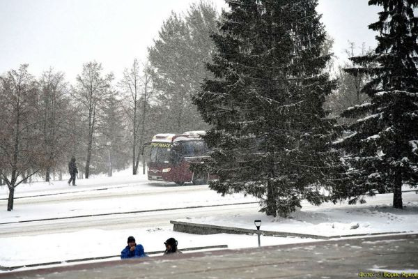 Спасатели предупредили свердловчан о сильном ветре сегодня