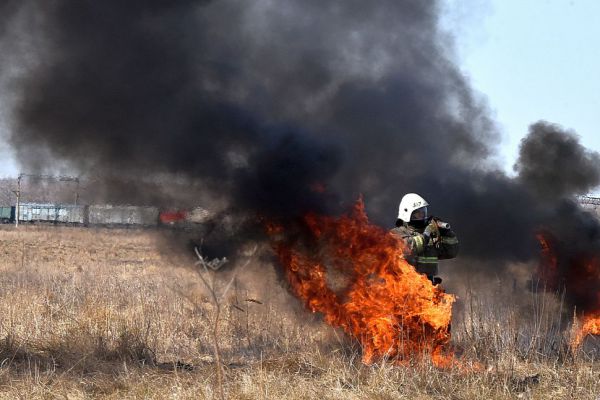 В Свердловской области из-за лесных пожаров возбудили 24 уголовных дела