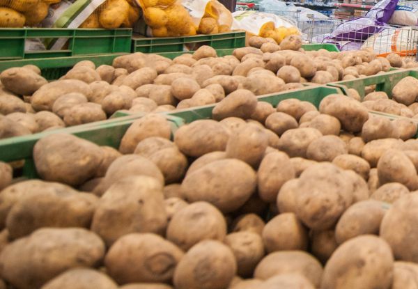 Цены на картофель выросли почти на 10%