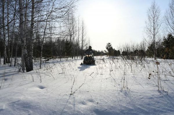 До Луны и обратно. Свердловские лесничие пройдут по уральской тайге более 800 тысяч километров