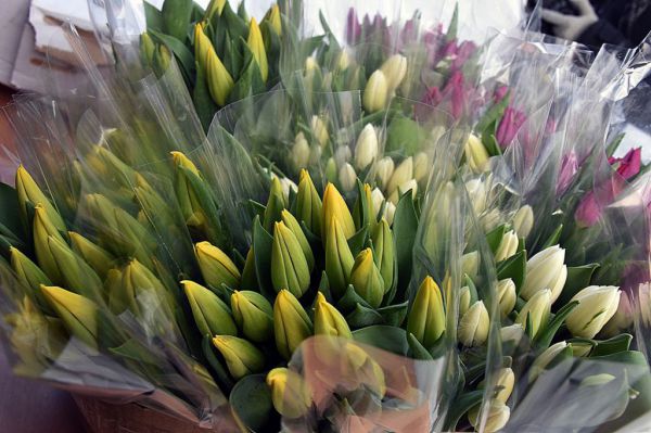 Эксперты составили список самых неудачных подарков на 8 Марта