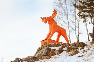 Участники Дня снега в Каменске-Уральском свяжут шарф для оранжевого лося