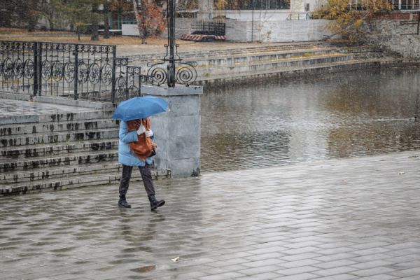 В МЧС предупредили жителей Свердловской области о сильном ветре до 28 метров в секунду