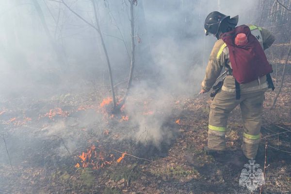 В Свердловской области зафиксировали первый крупный лесной пожар