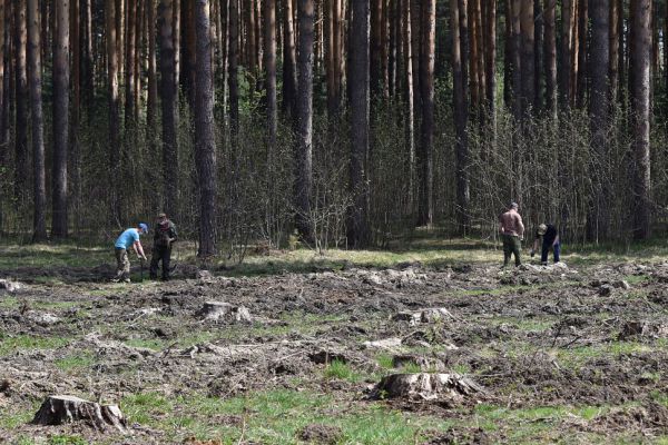 В майские праздники лесники выявили 30 нарушителей правил пожарной безопасности