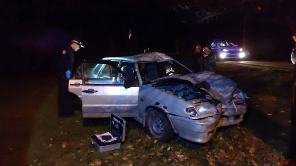 Мужчина за рулем ВАЗ на большой скорости врезался в корову в селе под Красноуфимском — он погиб, животное тоже скончалось на месте