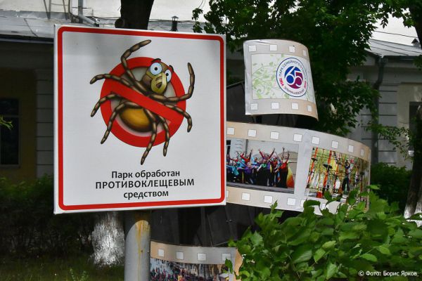 С начала сезона от укусов клещей пострадали почти две тысячи свердловчан