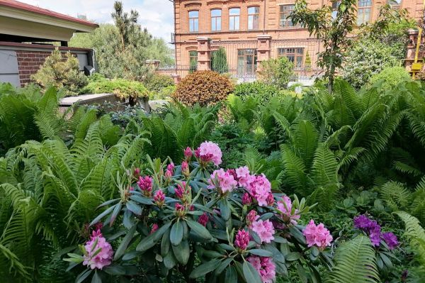 В Екатеринбурге отложили раскопки в саду у «Косого дома»