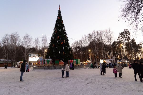 Каток в парке Маяковского закроют на несколько дней из-за наплыва гостей