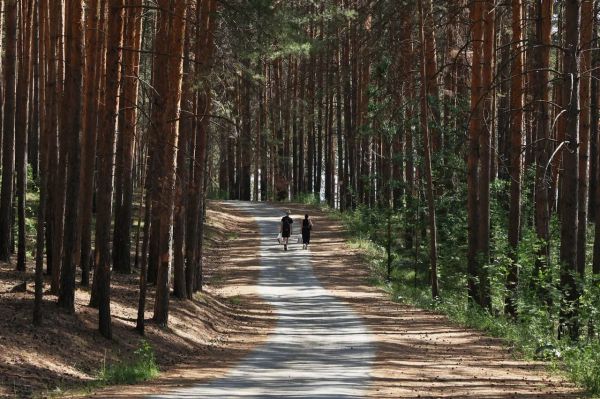 В Свердловской области построят глэмпинги почти на 300 миллионов