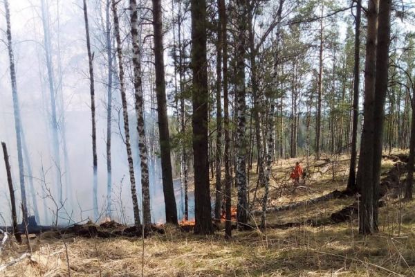 В Свердловской области началась временная эвакуация людей из-за пожаров
