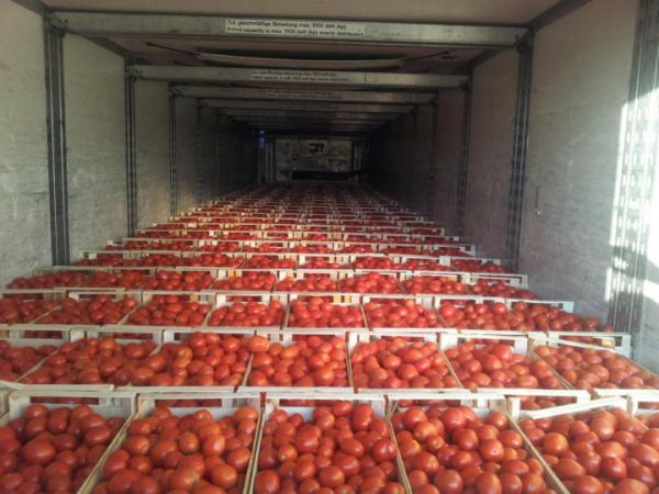 Россельхознадзор выявил нарушения при ввозе почти 2 тонн томатов в Екатеринбург