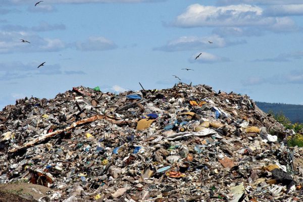 Россияне назвали самой большой экологической проблемой «мусорную»