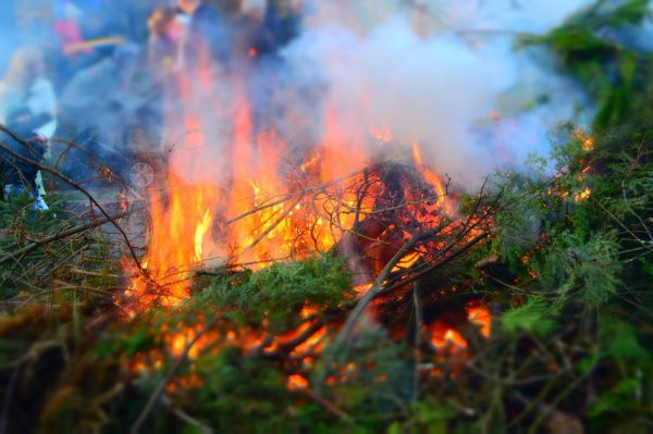 За сутки жара спровоцировала 28 природных пожаров