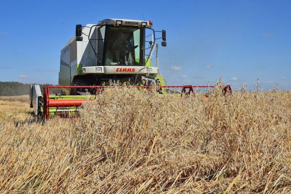 В Свердловской области аграриям передадут девять тысяч гектаров сельхозземель