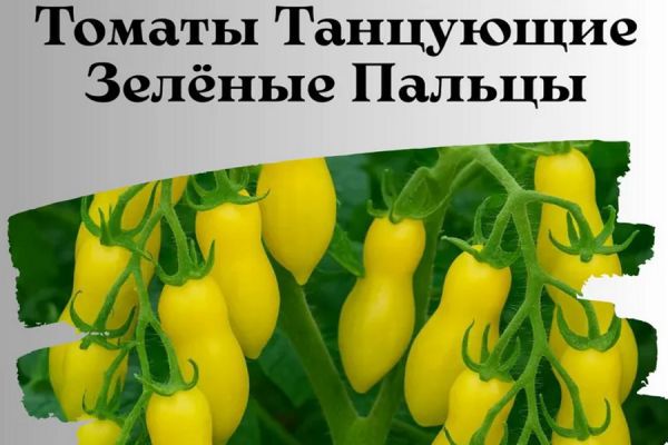Всход в мешке: в Свердловской области пресекли продажу 350 сортов и гибридов некондиционных семян