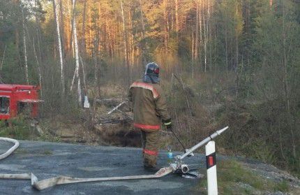 C начала апреля в области потушили 40 лесных пожаров