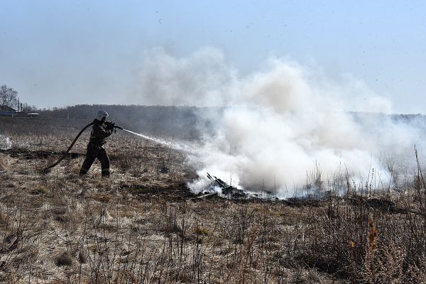 В Сухом Логу горит территория садоводства в 5 гектар