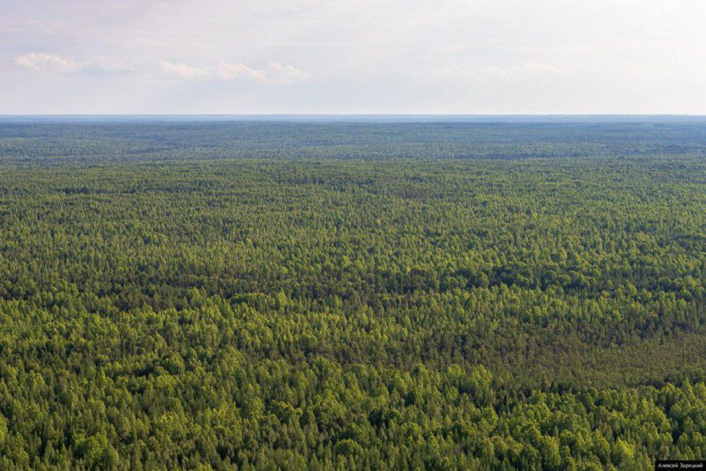 С 25 апреля в Свердловской области вводится особый противопожарный режим