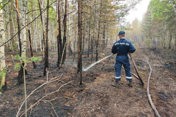 В Свердловской области за сутки площадь пожаров уменьшилась на 2,7 тысячи гектаров