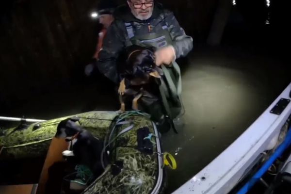 Свердловские спасатели в Кургане спасли мужчину с тремя собаками