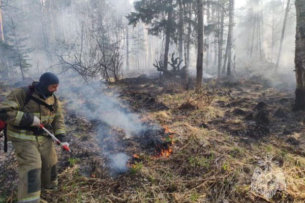 Свердловские спасатели справились с тремя лесными пожарами