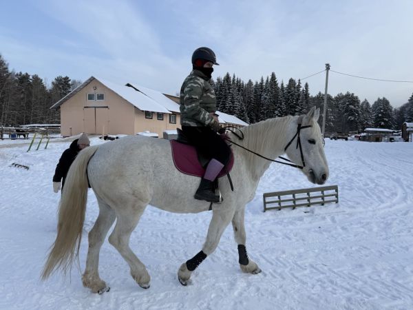 В Новый год под стук копыт Огненной Лошади