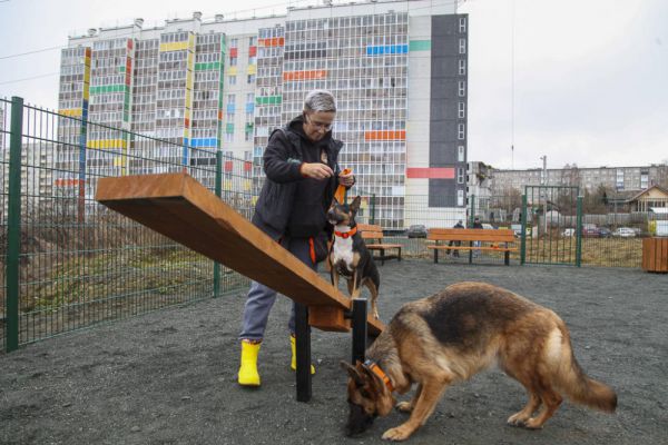 В Минприроды определили порядок  регистрации домашних животных