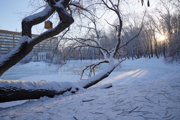 В Свердловскую область пришло краткосрочное похолодание