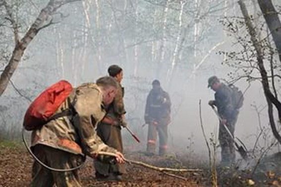 За сутки в области зарегистрировано 23 природных пожара