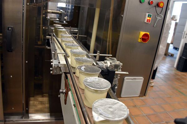 В Россельхознадзоре отметили рост фальсификата на рынке молочной продукции
