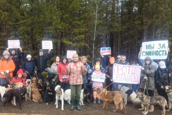 В Екатеринбурге зоозащитники выступили против закона об эвтаназии животных