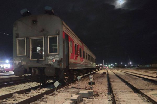 На проводницу, выбросившую кота Твикса из поезда Екатеринбург — Санкт-Петербург, завели дело