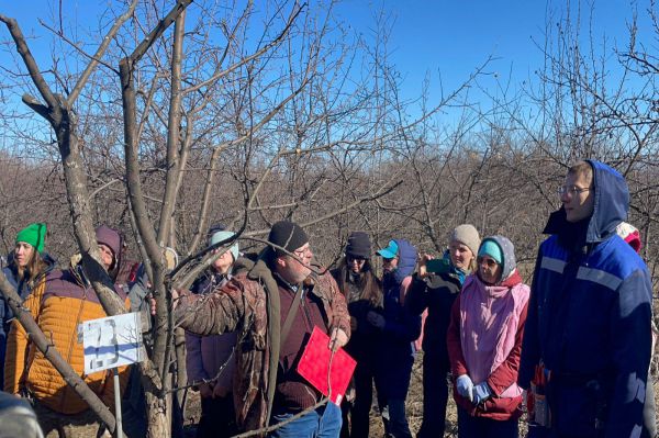 На Среднем Урале прошел конкурс по обрезке плодовых деревьев