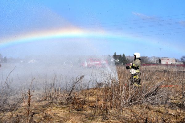 В Свердловской области начали действовать ограничения в связи с пожароопасным сезоном