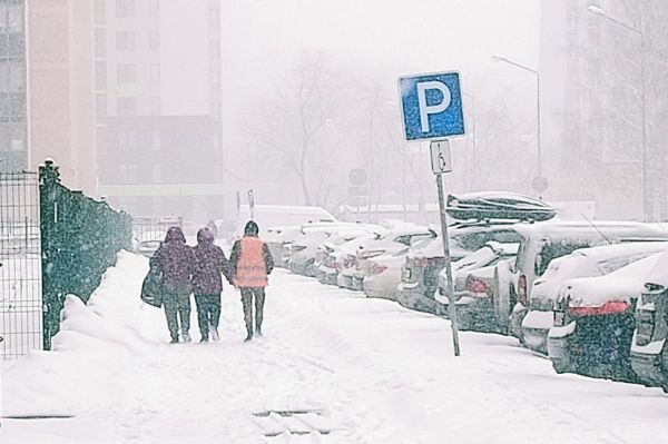 Мокрый снег и сильный ветер: спасатели предупредили екатеринбуржцев о неблагоприятных погодных условиях