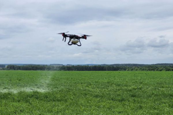 Свердловская область вошла в топ-10 регионов по инновациям в аграрной отрасли