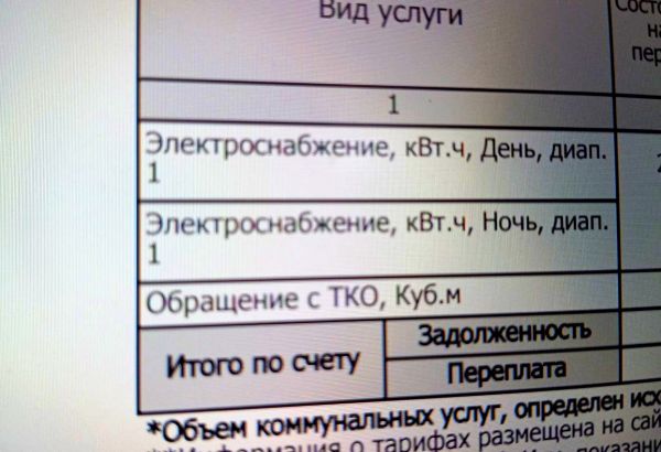 Компанию «ЭнергосбыТ Плюс» уличили в нарушении закона — в свои квитанции энергетики включали «Обращение с ТКО» и «Водоотведение»