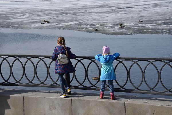 В Екатеринбурге впервые в 2024 году зафиксирована плюсовая температура