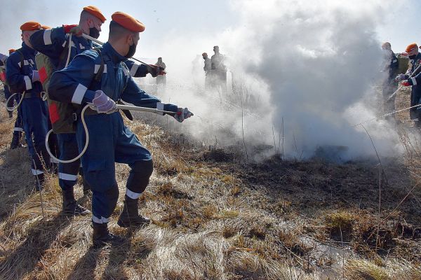 За сутки свердловские спасатели потушили восемь лесных пожаров