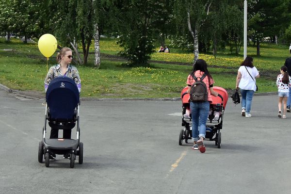 Евгений Куйвашев предложил узаконить вложение маткапитала в дополнительное образование ребенка