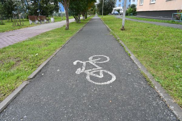 В Шалинском районе водитель осужден за тяжкое ДТП с ребенком на пешеходном переходе