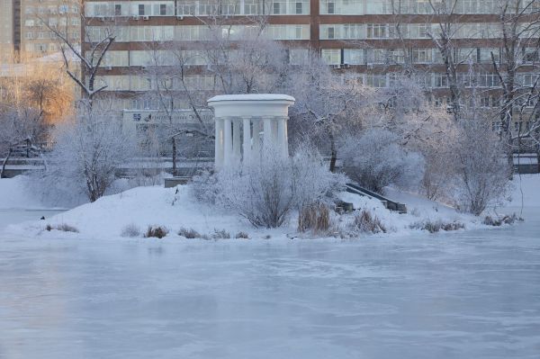 Екатеринбуржцам запретят кататься на катке в Харитоновском парке