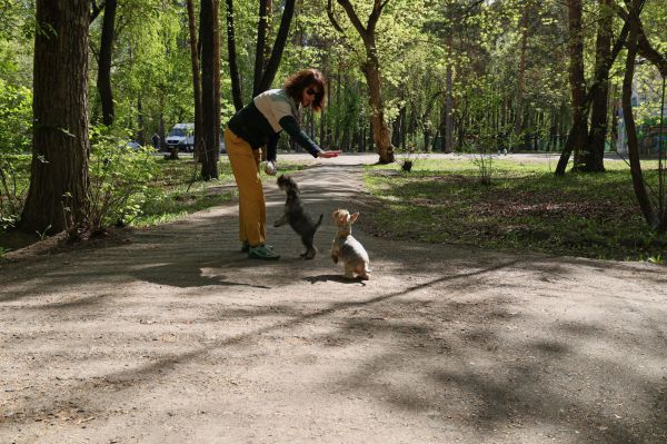 В Свердловской области к концу недели температура воздуха опустится на 10 градусов