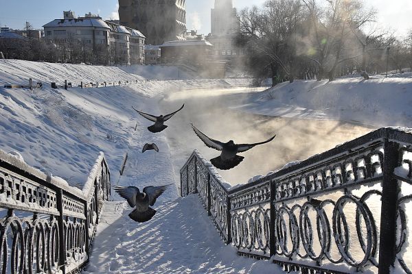 Фоторепортаж: мороз и солнце – в Екатеринбурге чудесный день