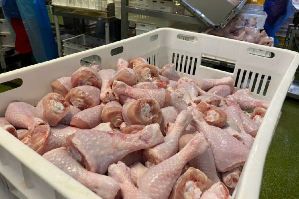 Уральские ученые придумали метод очистки куриного мяса от опасных бактерий