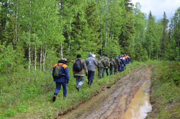 Число потерявшихся в лесах грибников и ягодников выросло на треть