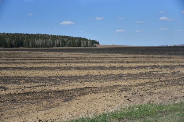 В Свердловской области  спрос на агрономов вырос в 3,3 раза