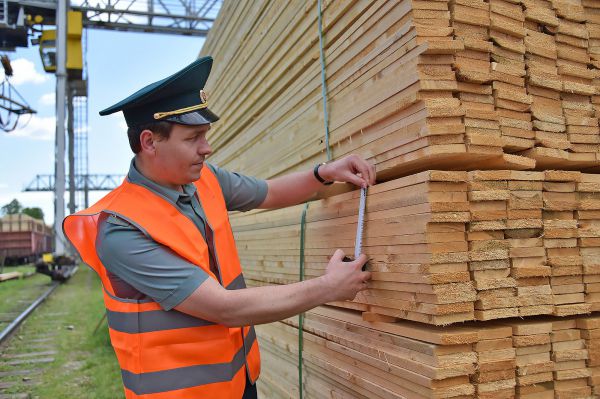 Уральская таможня взяла под особый контроль вывоз древесины на экспорт. Фото